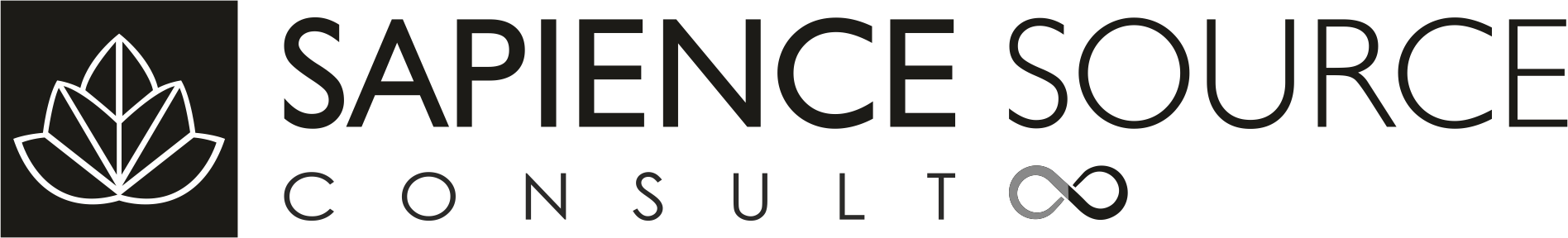 sapiencesourceconsultinfinity
